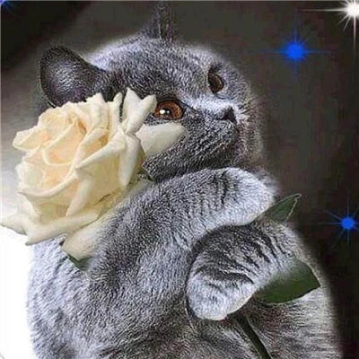 Huacan Diy Diamond Painting Full Drill Cat Home Decor Diamond Art Embroidery Mosaic Animal Wall Sticker