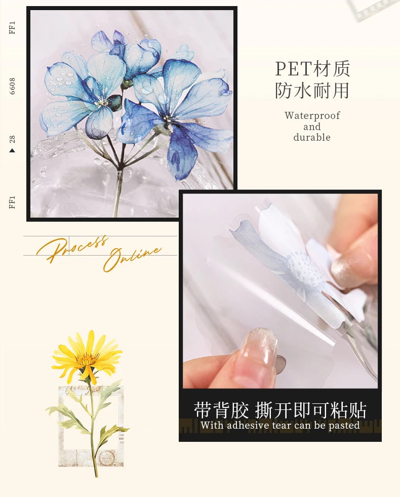 30 pcs film and Flowers Plant Stickers pack Creativity PET Decorative Sticker for DIY Diary Scrapbooking Junk Journal Supplies