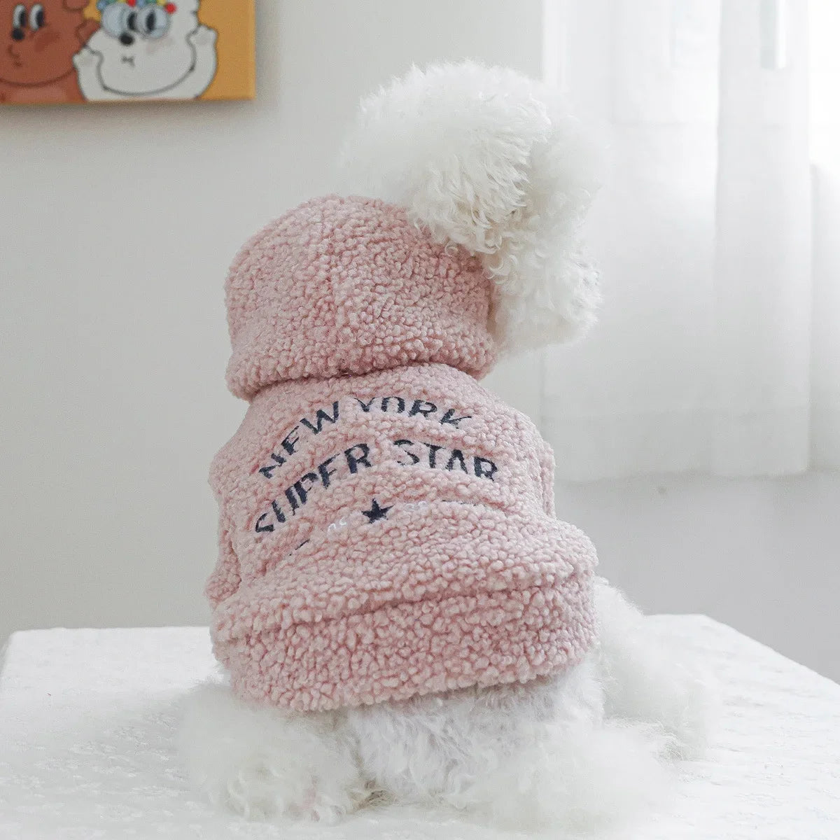 Autumn and Winter Pet Lamb Fleece Hooded Jacket Puppy and Cat Clothes New Models Thick and Warm Letter Hoodie Pet Clothes