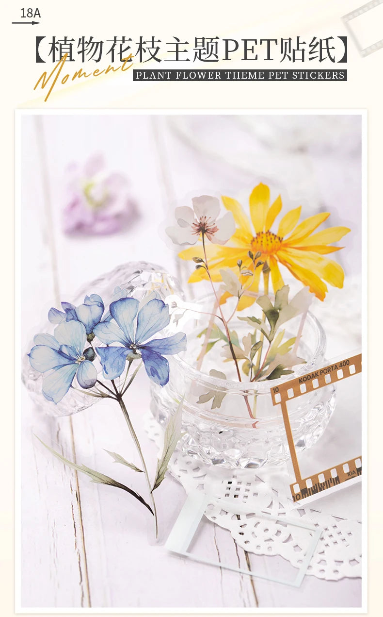 30 pcs film and Flowers Plant Stickers pack Creativity PET Decorative Sticker for DIY Diary Scrapbooking Junk Journal Supplies