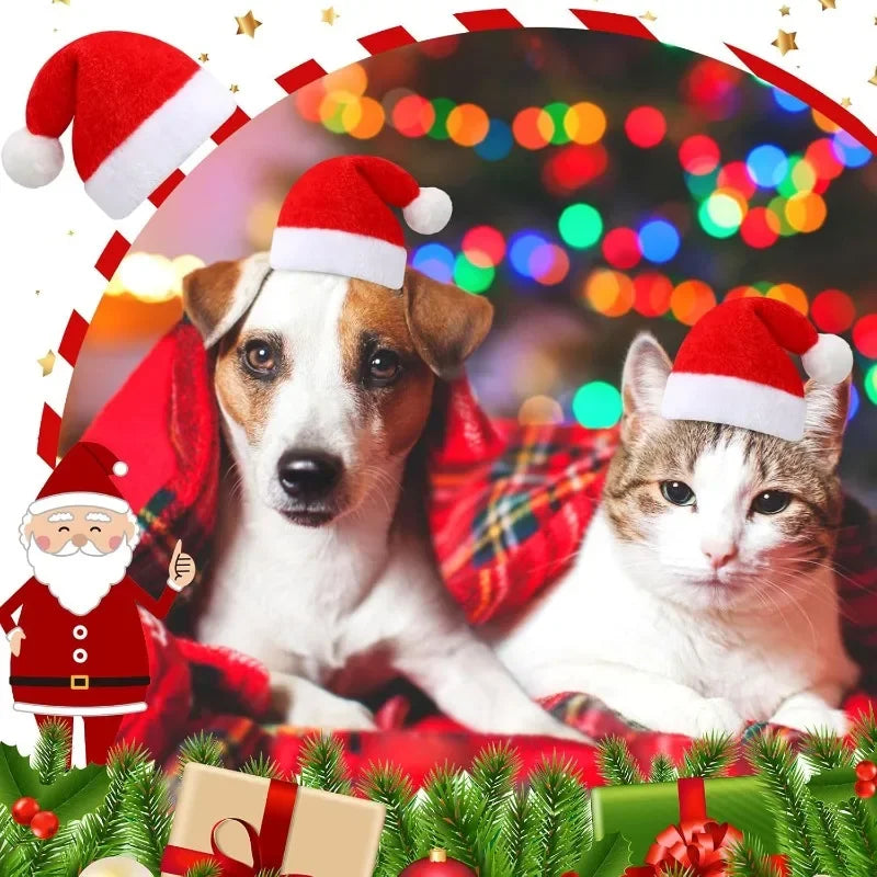 Frienda Dog Santa Hat  Christmas Hat Soft Plush Cat Hat Pet Costumes for Small Dog Cat for Pet Party Puppy Christmas Supplies
