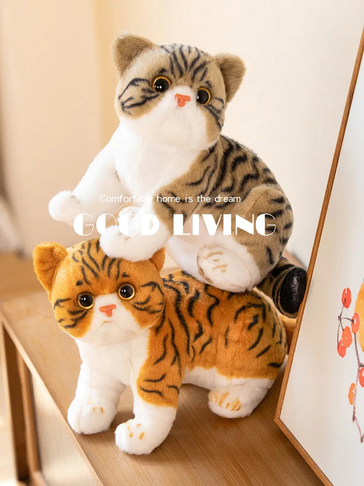 Super Likfelike Fat Face Cat Plushie Stuffed Apple Face Tiger Patterned Kitten Simulated Animals Home Decor Gift for Boy Kids