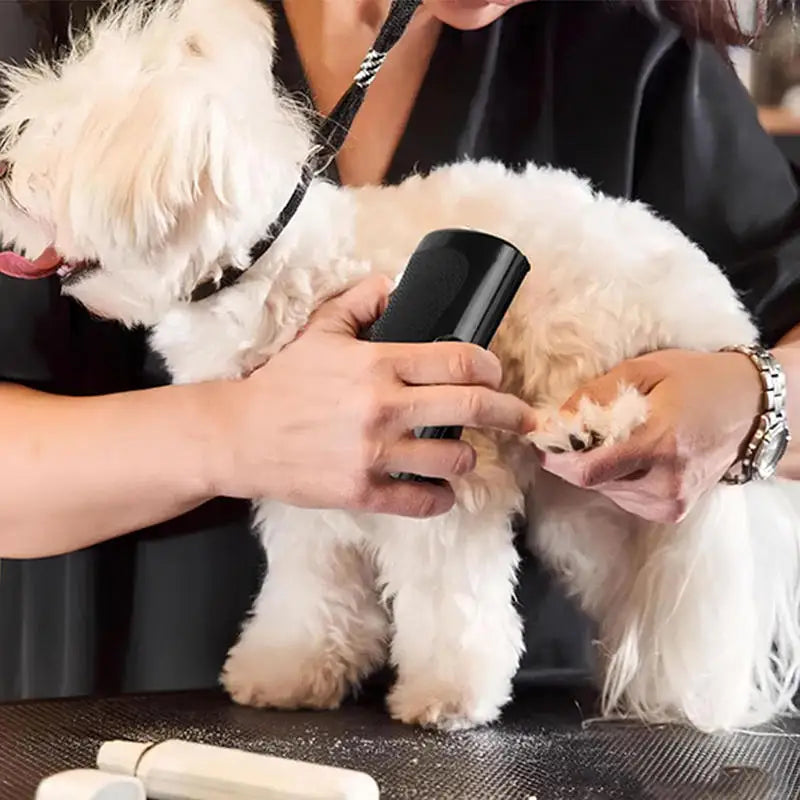 Professional Pet Deshedding Brush Multifunctional Groom Ergonomic Dog Hair Remover Tool